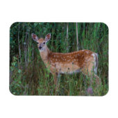 Magnet Flexible Cerf à queue blanche | National Bison Range Montan (Horizontal)