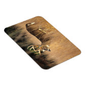 Magnet Flexible Cerf à queue blanche | Smoky Mountains Tennessee (Côté Droit)