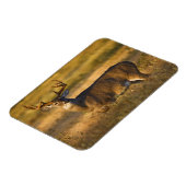 Magnet Flexible Cerf à queue blanche | Sud du Texas (Côté Gauche)