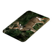 Magnet Flexible Cerf à queue blanche | Tennessee (Côté Gauche)