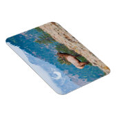 Magnet Flexible Cerf (Cervus Elephus) mâle bramant (Côté Droit)