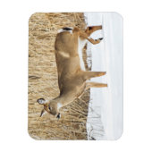 Magnet Flexible Cerf dans la neige (Vertical)