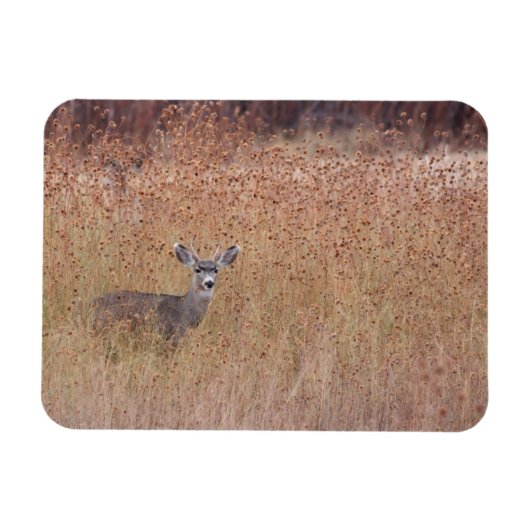 Magnet Flexible Cerf dans la prairie (Horizontal)