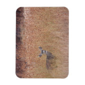Magnet Flexible Cerf dans la prairie (Vertical)