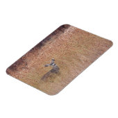 Magnet Flexible Cerf dans la prairie (Côté Gauche)