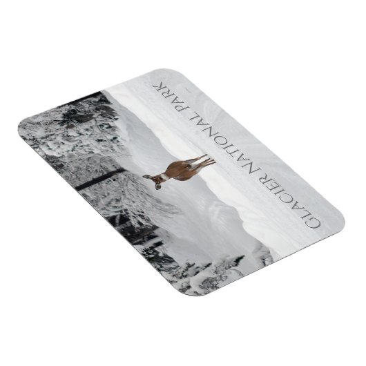 Magnet Flexible Cerf en neige, parc national des Glaciers (Côté Droit)