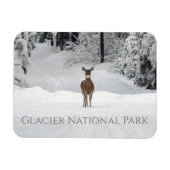 Magnet Flexible Cerf en neige, parc national des Glaciers (Horizontal)