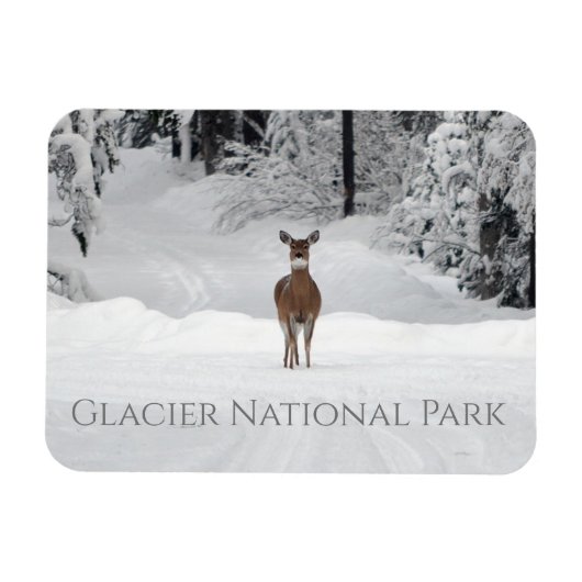 Magnet Flexible Cerf en neige, parc national des Glaciers (Horizontal)
