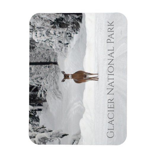 Magnet Flexible Cerf en neige, parc national des Glaciers (Vertical)