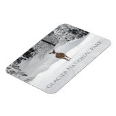 Magnet Flexible Cerf en neige, parc national des Glaciers (Côté Gauche)