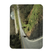 Magnet Flexible Cerf sur la route, Cap Déception, WA (Vertical)