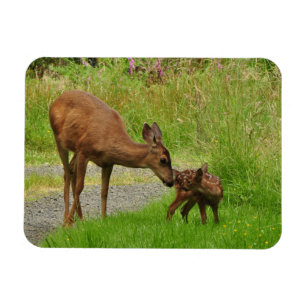 Magnet Flexible Cerfs communs de mamans et son faon nouveau-né