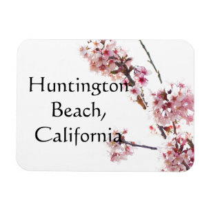 Magnet Flexible Cerisier en fleur Huntington Beach, Californie