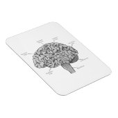 Magnet Flexible Cerveau scientifique (Côté Droit)