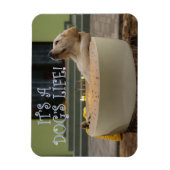 Magnet Flexible C'est un aimant pour la vie des chiens (Vertical)