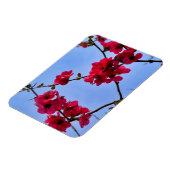 Magnet Flexible Chaenomeles speciosa (Côté Gauche)