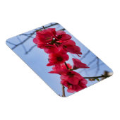 Magnet Flexible Chaenomeles speciosa (Côté Droit)