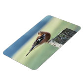 MAGNET FLEXIBLE CHAFFINY (Côté Gauche)