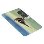 MAGNET FLEXIBLE CHAFFINY (Côté Droit)