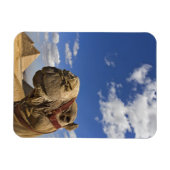 Magnet Flexible Chameau devant les pyramides de Gizeh, Égypte, (Horizontal)