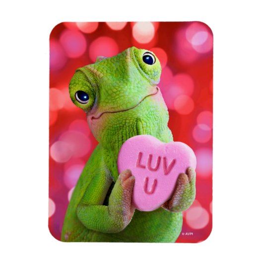Magnet Flexible Chameleon Heart (Luv U) (Vertical)