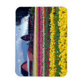 Magnet Flexible Champ d'affichage des tulipes (Vertical)