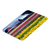 Magnet Flexible Champ d'affichage des tulipes (Côté Gauche)