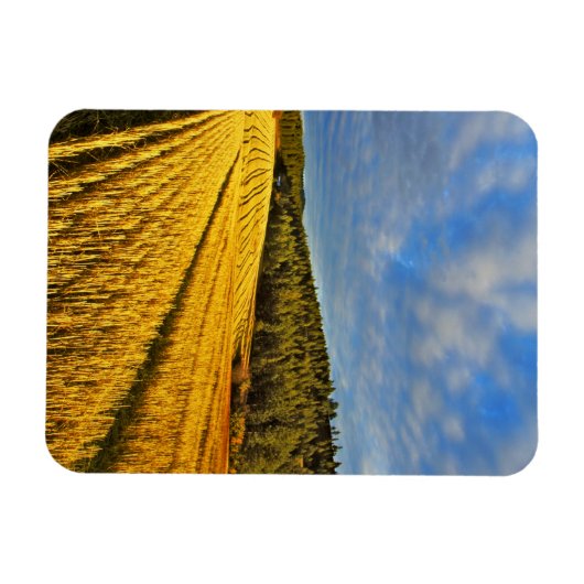 Magnet Flexible Champ de blé après récolte (Horizontal)