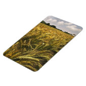 Magnet Flexible Champ de céréales (Côté Gauche)