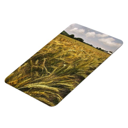 Magnet Flexible Champ de céréales (Côté Gauche)