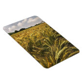 Magnet Flexible Champ de céréales (Côté Droit)