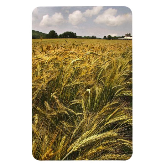 Magnet Flexible Champ de céréales (Vertical)