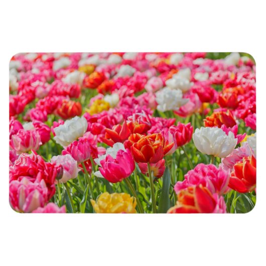 Magnet Flexible Champ de l'aimant des tulipes (Horizontal)