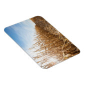 Magnet Flexible Champ de maïs partiellement récolté (Côté Droit)