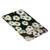 Magnet Flexible Champ de marguerites Aimant flexible (Côté Droit)