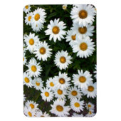 Magnet Flexible Champ de marguerites Aimant flexible (Vertical)