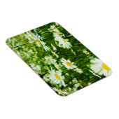Magnet Flexible Champ de marguerites sauvages blanches Abstrait (Côté Droit)