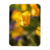 Magnet Flexible Champ de pavots dansants (Vertical)