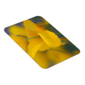 Magnet Flexible Champ de pavots en fleurs (Côté Droit)