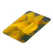 Magnet Flexible Champ de pavots en fleurs (Côté Gauche)