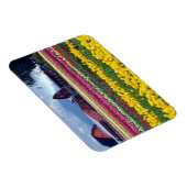 Magnet Flexible Champ de tulipes (Côté Droit)