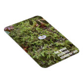 Magnet Flexible Champignon Belknap avec citation (Côté Droit)