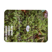 Magnet Flexible Champignon Belknap avec citation (Horizontal)