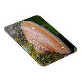 Magnet Flexible champignon de la poignée (Côté Droit)
