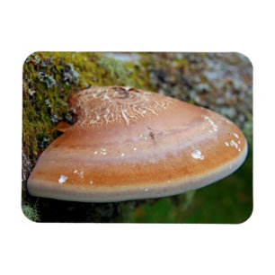 Magnet Flexible champignon de la poignée