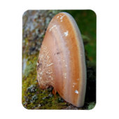 Magnet Flexible champignon de la poignée (Vertical)