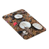 Magnet Flexible Champignons et cônes de pin (Côté Droit)