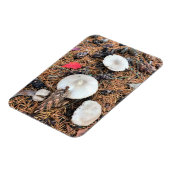 Magnet Flexible Champignons et cônes de pin (Côté Gauche)