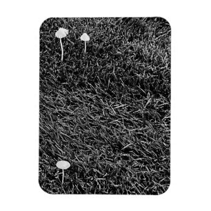 Magnet Flexible Champignons noirs et blancs dans une photo d'herbe