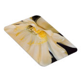 Magnet Flexible Charlemagne Echinopsis en fleurs (Côté Droit)